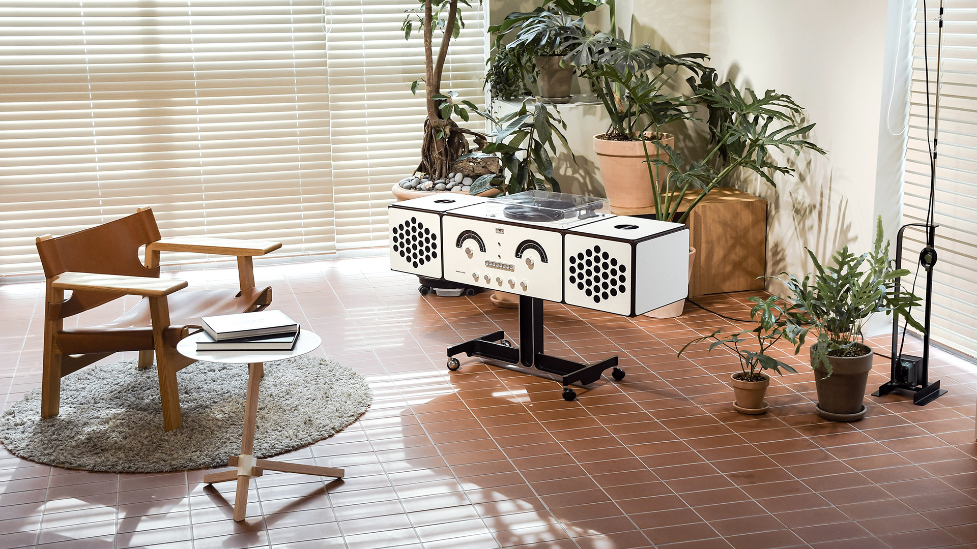 1634210485823413.jpg 7b98a2120560073.60b4b443b117b.jpg